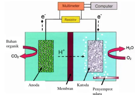 Gambar 1 Microbial Fuel cell (Logan 2008). 