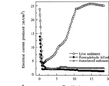 Gambar  6  Produksi  arus  listrik  pada  sedimen  hidup  dan  sedimen  steril  yang        dilakukan Holmes et al