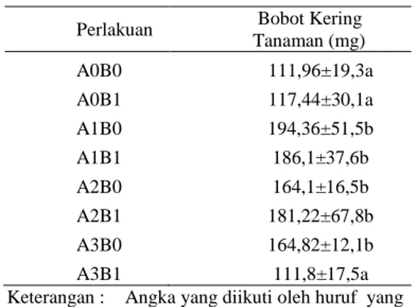 Tabel 4  Pengaruh perlakuan Streptomyces terhadap  Bobot  kering  tanaman  akasia    umur  7    MST