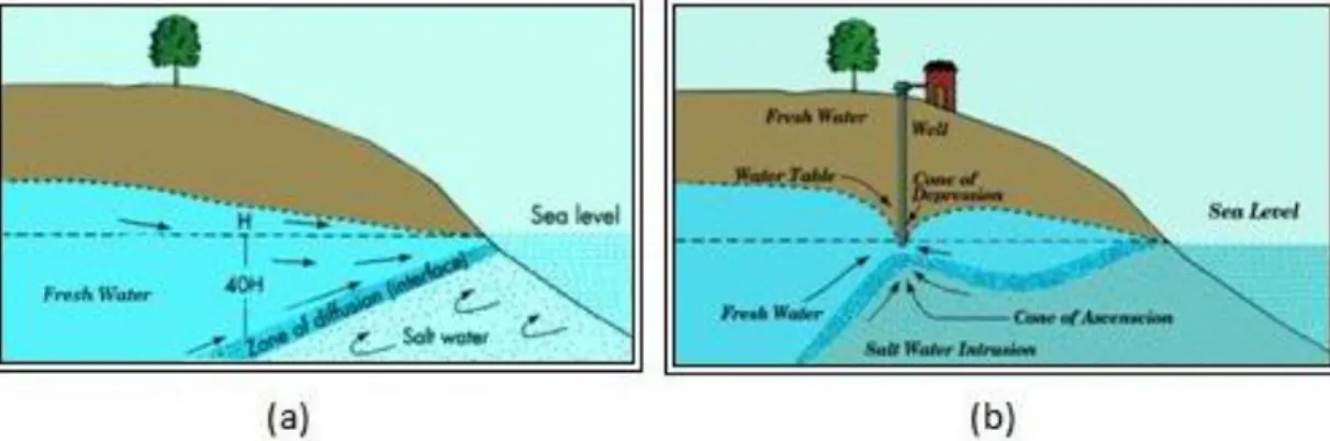 Gambar 1. Ilustrasi proses terjadinya intrusi air laut. (a) Sebelum; (b) Sesudah  [11]