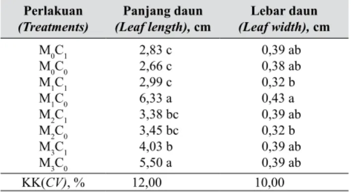 Tabel 1.   Tinggi planlet setelah 4 bulan penanaman  (Plantlet height at 4 months after cultured)
