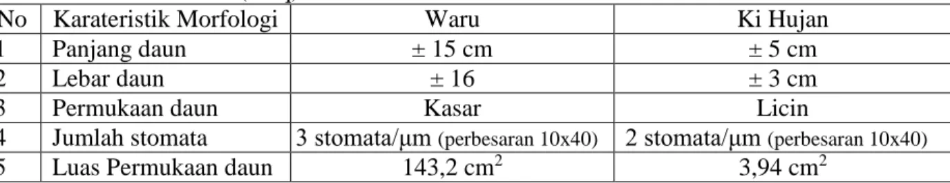 Gambar  2  memperlihatkan  variasi  kandungan  timbal  (Pb)  pada  daun  waru  dan  daun  ki  hujan untuk bulan Juni 2010