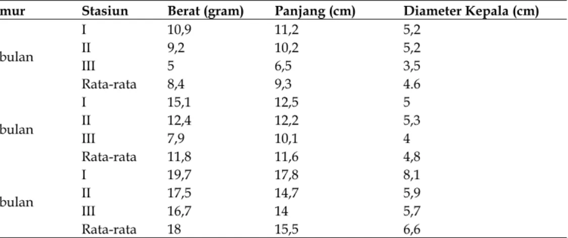 Tabel 3. Hasil pengukuran pertumbuhan udang windu (Penaeus monodon Fab) di Tambak Keputih Surabaya yang  tercemar Pb