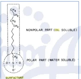 Gambar 2 Struktur Molekul Surfaktan 2 Bagian  hidrophilic  adalah ionik atau  bermuatan  (polar)