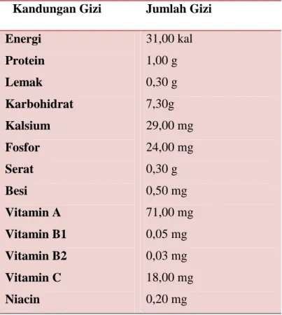 Tabel 1. Kandungan Gizi Buah Cabai merah   Kandungan Gizi  Jumlah Gizi  Energi  Protein  Lemak   Karbohidrat  Kalsium  Fosfor  Serat  Besi  Vitamin A  Vitamin B1  Vitamin B2  Vitamin C  Niacin  31,00 kal 1,00 g 0,30 g 7,30g  29,00 mg 24,00 mg 0,30 g 0,50 m