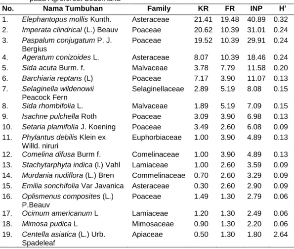 Tabel  1.  Nilai  Penting  (INP)  dan  Indeks  Keanekaragaman  Jenis  (H’)  Tumbuhan  herba  pada Agroforest Sederhana 