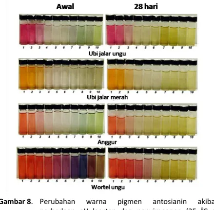 Gambar 8.  Perubahan  warna  pigmen  antosianin  akibat  perbedaan  pH  larutan  dan  penyimpanan  (25  o C  di  ruang gelap)