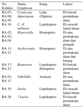 Tabel 1  Cendawan entomopatogen yang diperoleh  dari CA Telaga Warna beserta inangnya