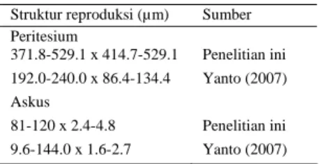 Tabel 4  Ukuran struktur reproduksi seksual  Cordyceps militaris 