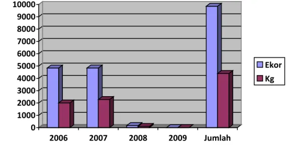 Gambar 18 Produksi ikan kerapu anggota sea farming periode 2006-2009 