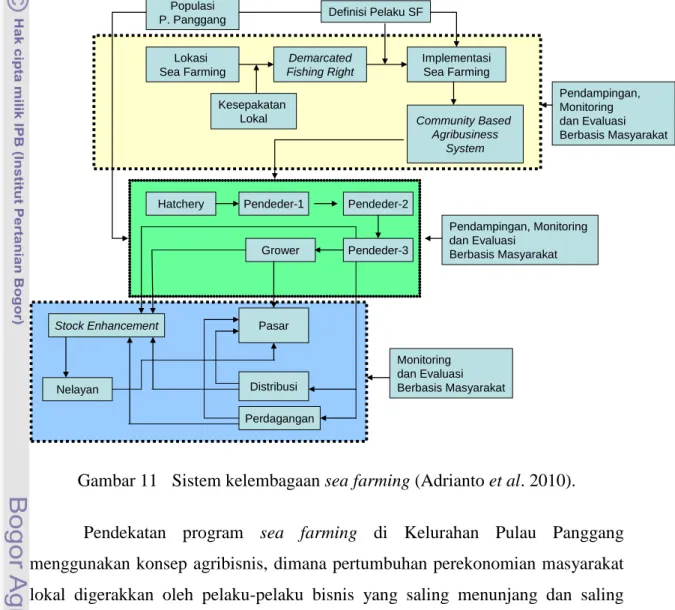 Gambar 11  Sistem kelembagaan sea farming (Adrianto et al. 2010). 
