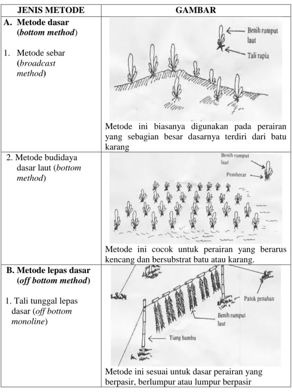 Tabel 1. Beberapa metode budidaya rumput laut yang umum digunakan   (Afrianto dan Liviawati, 1993) 