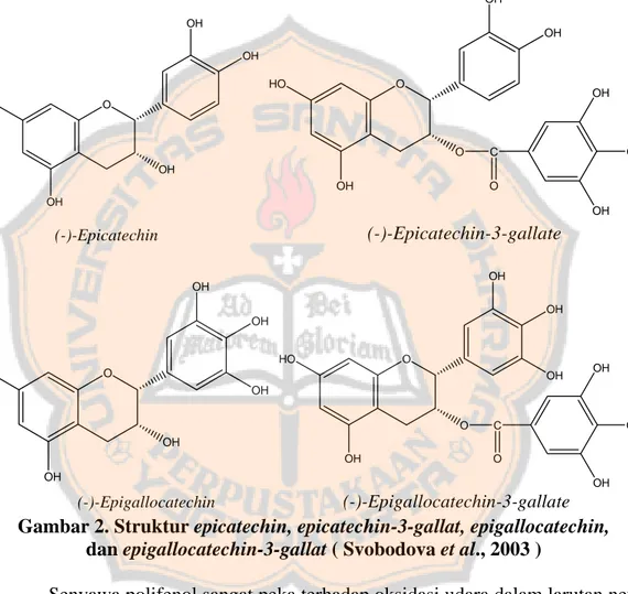 Gambar 2. Struktur epicatechin, epicatechin-3-gallat, epigallocatechin,  dan epigallocatechin-3-gallat ( Svobodova et al., 2003 ) 