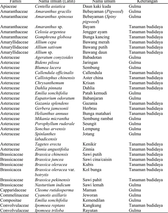 Tabel 1.  Jenis tumbuhan inang L. huidobrensis