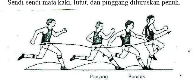 Gambar 2: Teknik tolakan dalam lompat jauh                                                                                       diadaptasi dari IAAF (2000)  