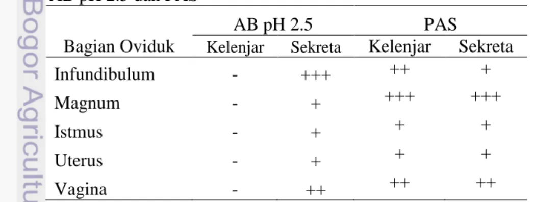 Tabel 1  Konsentrasi dan distribusi karbohidrat  pada oviduk terhadap pewarnaan  AB pH 2.5 dan PAS 