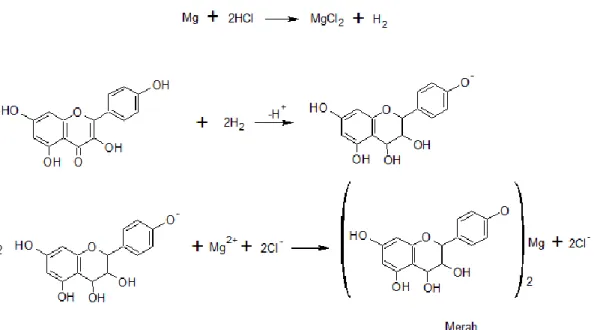 Gambar  1. Reaksi uji flavonoid menggunakan Tes Mg-HCl (YP Arum, dkk., 2012) 