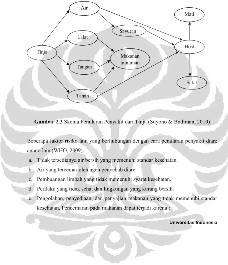 Gambar 2.3 Skema Penularan Penyakit dari Tinja (Suyono &amp; Budiman, 2010)
