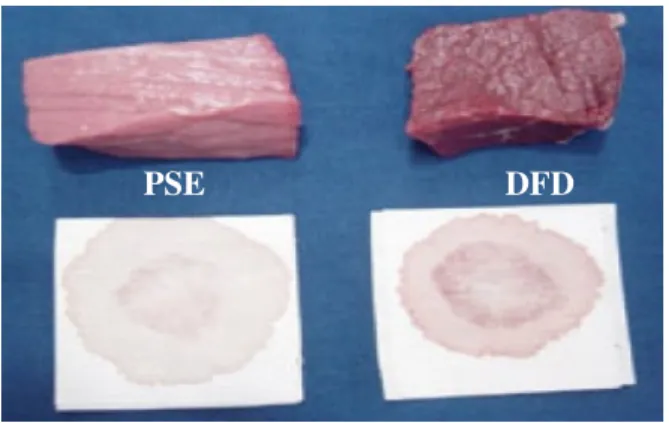 Gambar 8. Daging PSE dan DFD 