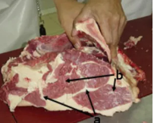 Gambar  2.  Intermuscular  fat  (a),  dan intramuscular fat (b) 