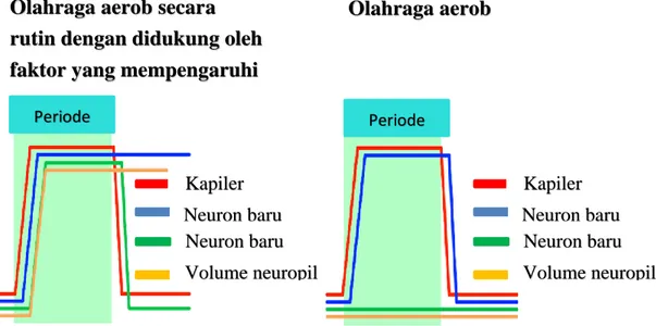 Gambar 3. Pengaruh olahraga aerob terhadap struktur otak. 