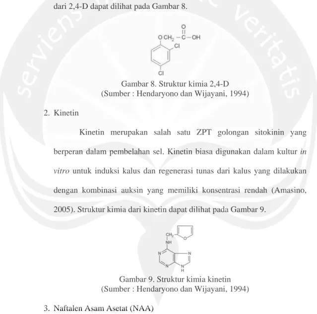 Gambar 8. Struktur kimia 2,4-D   (Sumber : Hendaryono dan Wijayani, 1994)  2.  Kinetin 