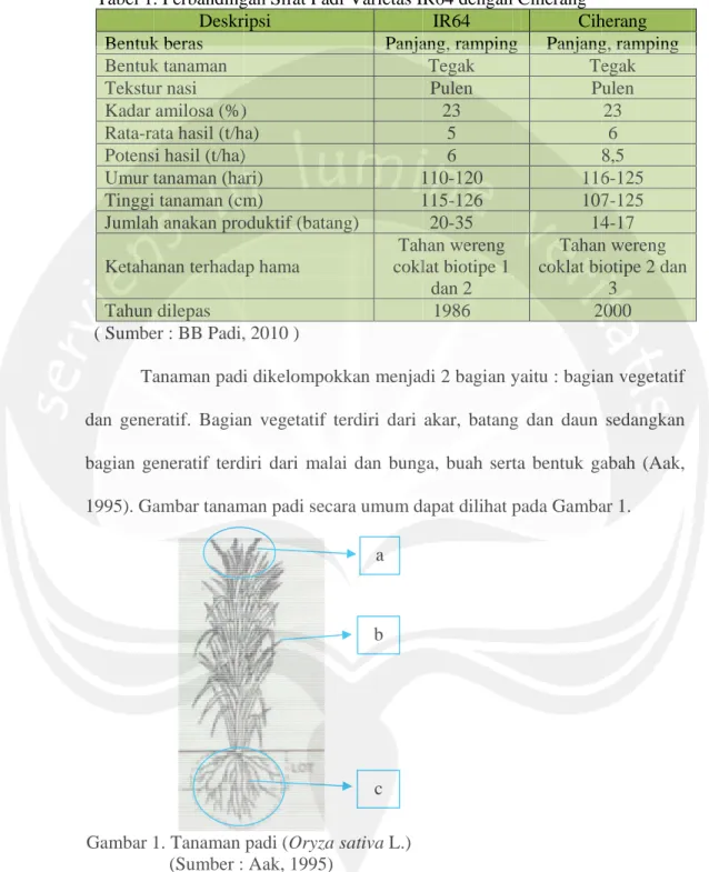 Tabel 1 Bentuk Bentuk Tekstu Kadar  Rata-ra Potens Umur t Tinggi Jumlah Ketaha Tahun  ( Sumbe Ta dan gene bagian ge 1995)