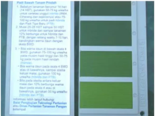 Gambar 4. Bagan Warna Daun 