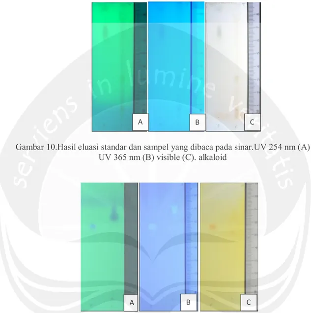 Gambar 10.Hasil eluasi standar dan sampel yang dibaca pada sinar.UV 254 nm (A)  UV 365 nm (B) visible (C)