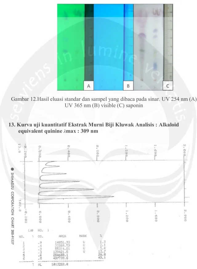 Gambar 12.Hasil eluasi standar dan sampel yang dibaca pada sinar. UV 254 nm (A)  UV 365 nm (B) visible (C) saponin