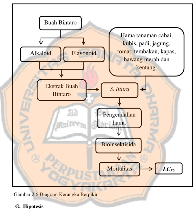 Gambar 2.6 Diagram Kerangka Berpikir  G.  Hipotesis 