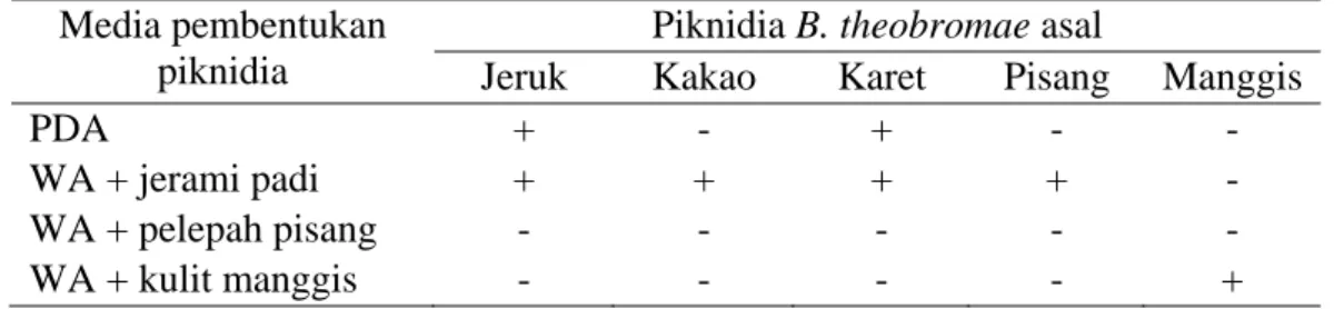 Tabel 1  Pembentukan piknidia cendawan B. theobromae asal beberapa tanaman  pada berbagai media sampai dengan 34 HSI 