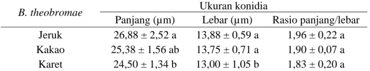 Tabel 3  Ukuran panjang dan lebar konidia matang cendawan B. theobromae pada  tiga tanaman inang  