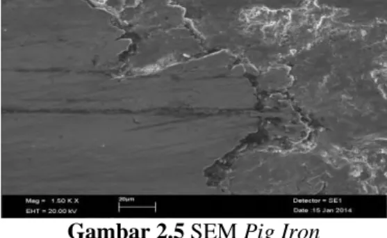 Gambar 2.5 SEM Pig Iron 
