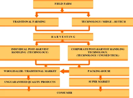 Figure 1. The Current Status in Traditional Farming and Traditional Post-Harvest Handling System in Indonesia 