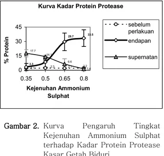 Gambar 2.  Kurva  Pengaruh  Tingkat  Kejenuhan  Ammonium  Sulphat  terhadap Kadar Protein  Protease  Kasar Getah Biduri