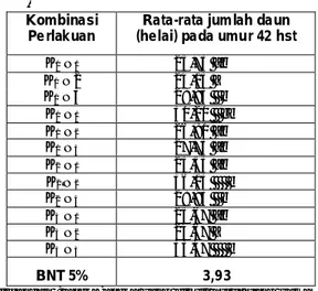 Tabel 3 : Rata  – rata  jumlah  anakan    bawang  merah  varietas  Bauji  pada  umur  28  hst  dan  42 hst   pengaruh  perlakuan  dosis  pupuk  kandang  sapi  dan dosis pupuk NPK 