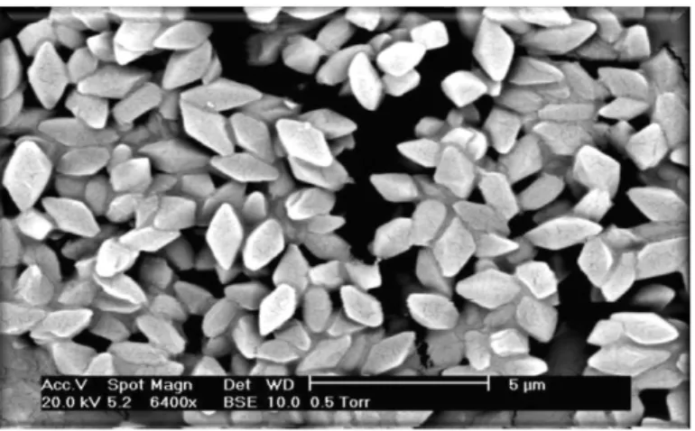 Gambar 3.  Bentuk kristal protein Bacillus thuringiensis berbentuk bipiramida  (http://ejournal.vudat.msu.edu/index.php/mmg445/issue/view/1)  Hofte dan Whiteley (1989) menjelaskan bahwa terdapat 14 gen penyandi  kristal  protein,  13  diantaranya  disebut 