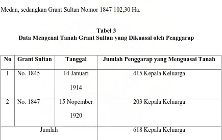 Tabel 3  Data Mengenai Tanah Grant Sultan yang Dikuasai oleh Penggarap 