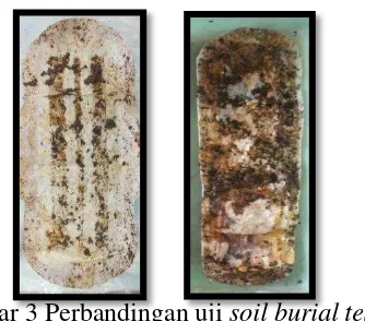 Gambar 3 Perbandingan uji soil burial test 