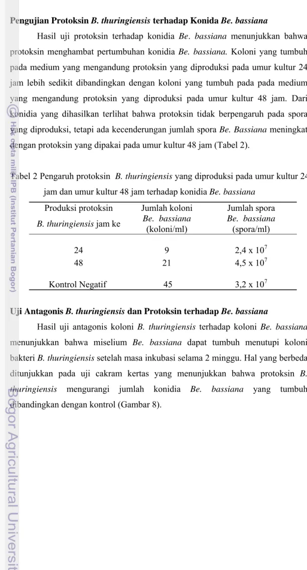 Tabel 2 Pengaruh protoksin  B. thuringiensis yang diproduksi pada umur kultur 24  jam dan umur kultur 48 jam terhadap konidia Be