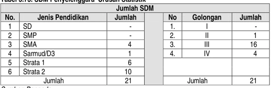 Tabel 3.73. SDM Penyelenggara  Urusan Statistik  Jumlah SDM 