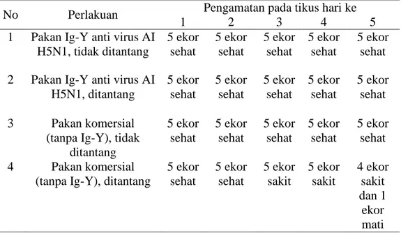 Tabel  7    Pengamatan  klinis  tikus  (5  ekor)  yang  diberi  pakan  mengandung  Ig-Y  dan  pakan  komersial  (tanpa  Ig-Y)  setelah  ditantang  dengan  virus  AI  H5N1 