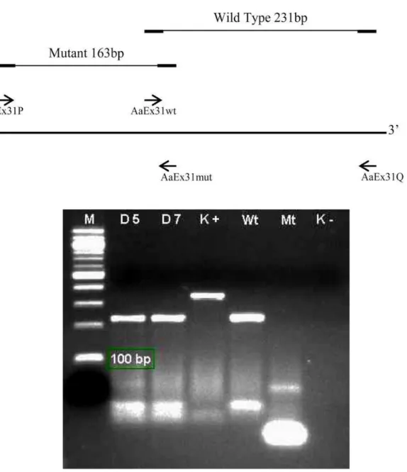 Gambar 1. Hasil identifikasi gen VGSC dengan metode PCR 