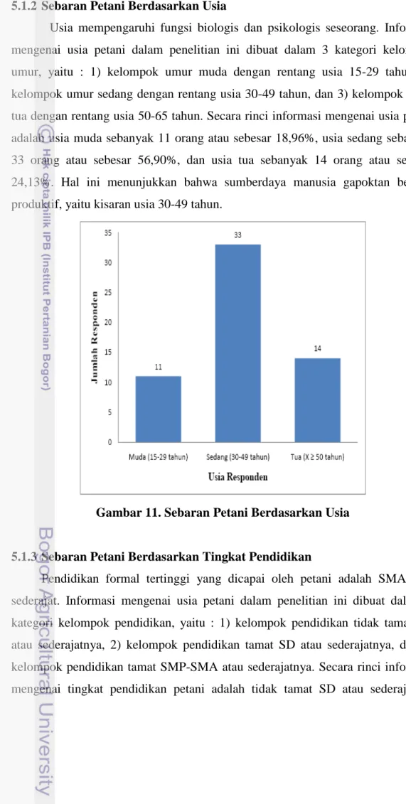 Gambar 11. Sebaran Petani Berdasarkan Usia