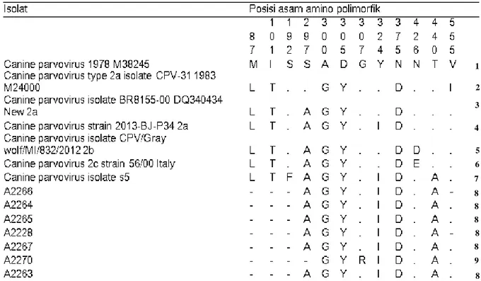 Tabel 4.  Perbedaan variasi CPV asal Bali dibandingkan dengan berbagai strain CPV yang  dikenal dunia 