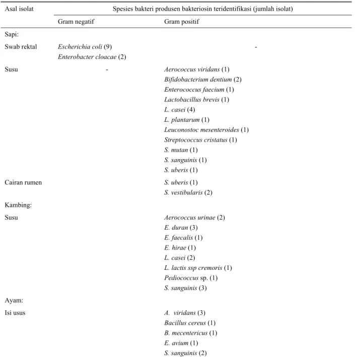 Tabel 2.  Keragam dalam genus dan spesies dari 51 isolat bakteri penghasil bakteriosin (BPB) teridentifikasi  Asal isolat  Spesies bakteri produsen bakteriosin teridentifikasi (jumlah isolat) 