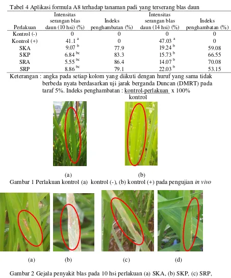 Tabel 4 Aplikasi formula A8 terhadap tanaman padi yang terserang blas daun