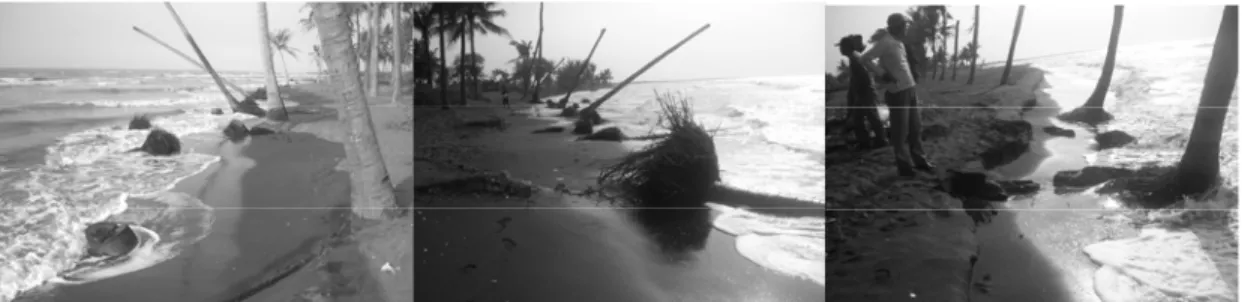 Gambar 3. Contoh foto kerusakan pantai yang terjadi di wilayah Suradadi, Kabupaten Tegal 