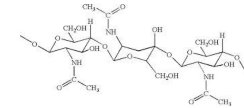Gambar 2 Struktur kimia kitin (Muzzarelli 1977). 